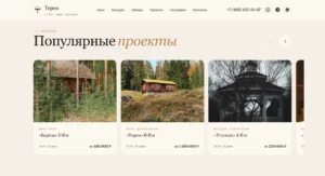 2026-04-27 19-22-06 ТЕРЕМ — Бани, беседки и заб…люч в Московской области 🔊