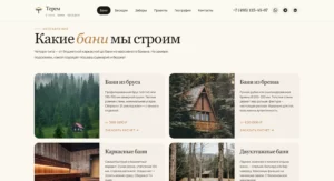 2026-04-27 19-21-20 ТЕРЕМ — Бани, беседки и заб…люч в Московской области 🔊